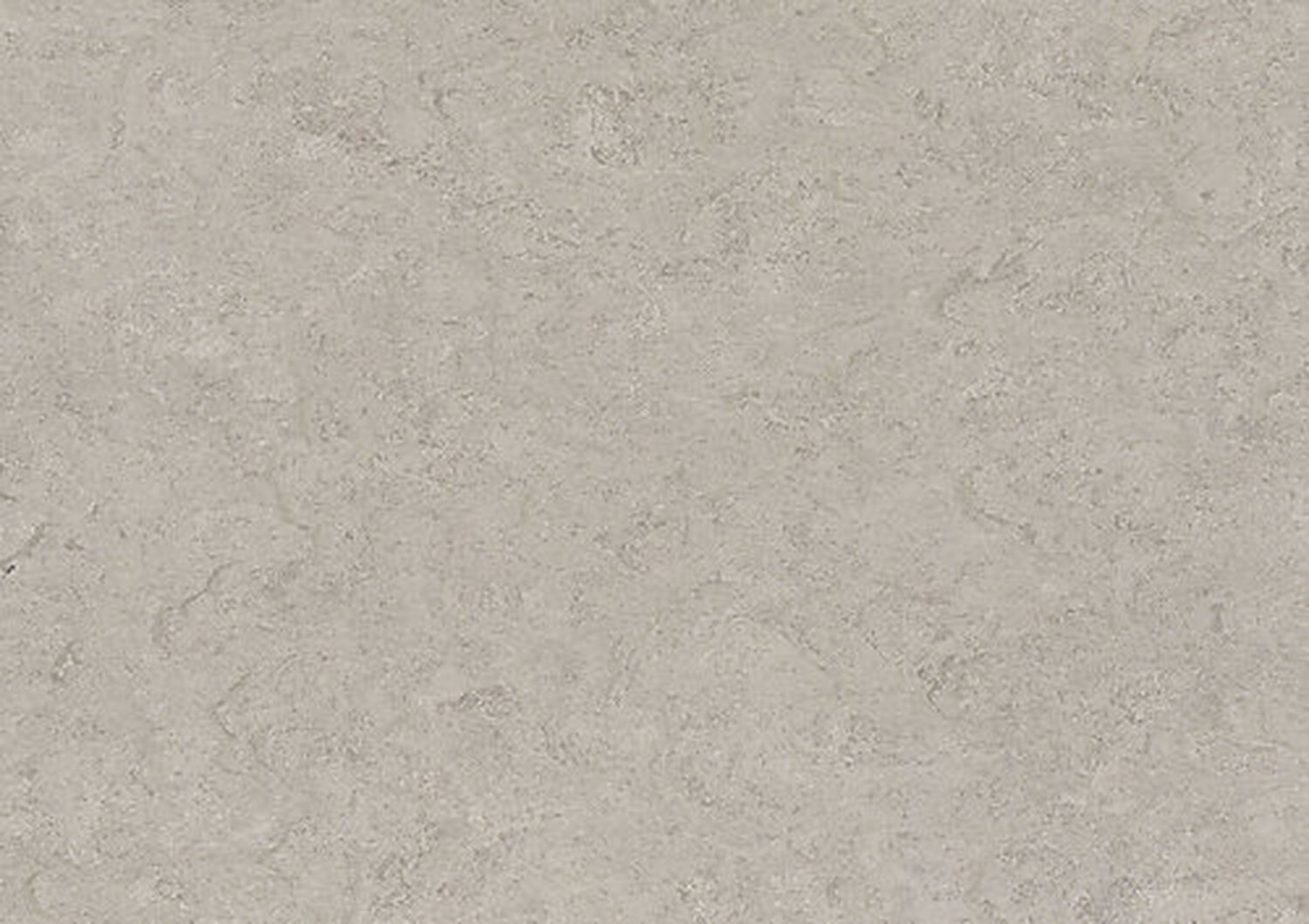 0091 SHIITAKE MUSHROOM