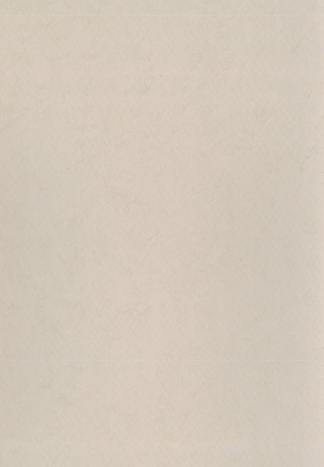 0586 Light Clay